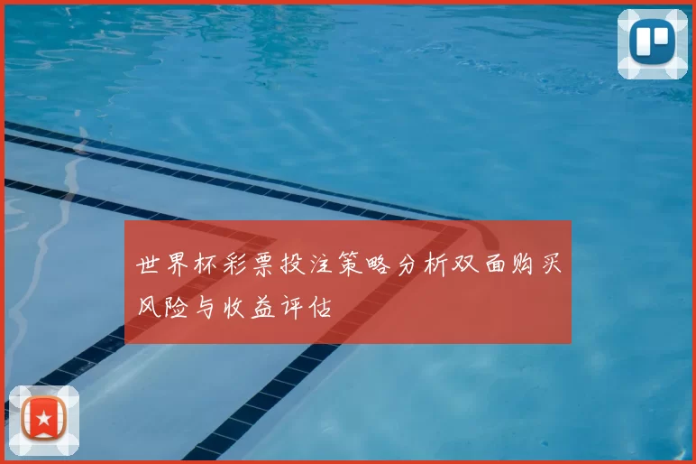 世界杯彩票投注策略分析双面购买风险与收益评估