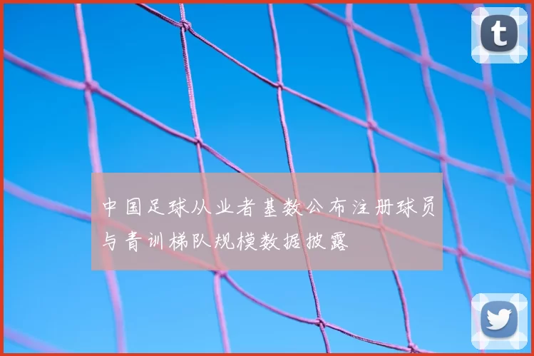 中国足球从业者基数公布注册球员与青训梯队规模数据披露