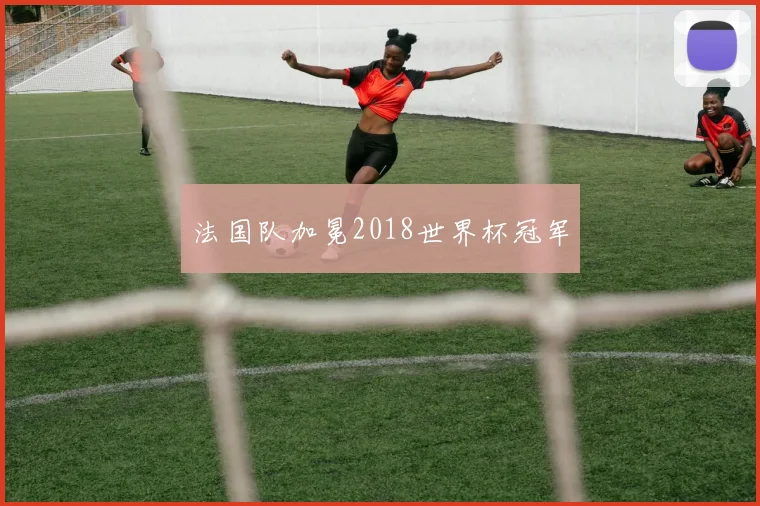 法国队加冕2018世界杯冠军
