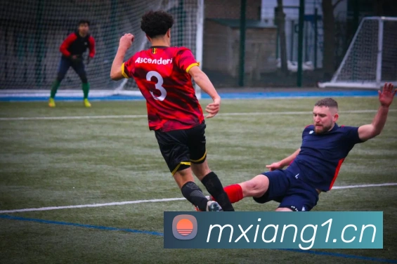 mksports网站平台生态图