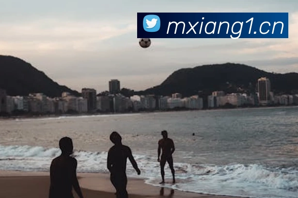 多媒体互动体验