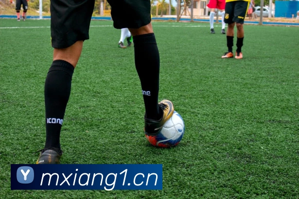 mksports网站APP 封面图